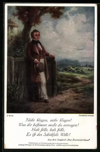 AK Franz Schubert, Das Dreimäderlhaus