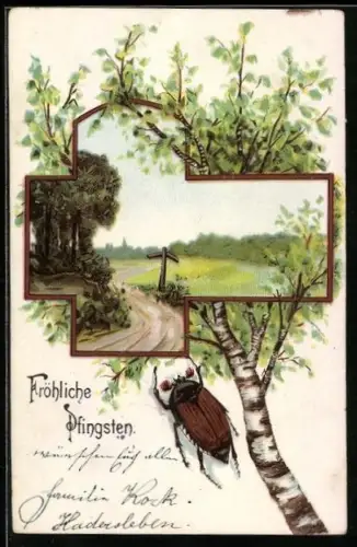AK Maikäfer, Landschaft und eine grüne Birke, Frohes Pfingstfest
