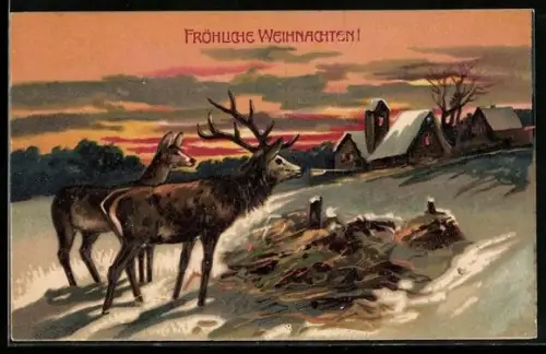 Präge-AK Wild an einer Futterstelle im Schnee