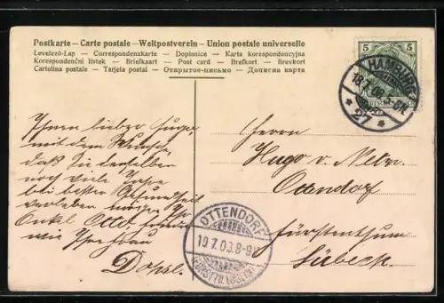 AK Rote Rosen an einer Schleife