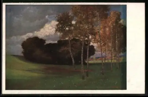 Künstler-AK Hermann Rüdisühli: Birken im Moor, Landschaft