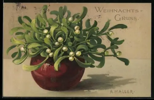Künstler-AK Anna Haller: Weihnachtsgrusskarte mit Mistelzweigen in Vase arrangiert