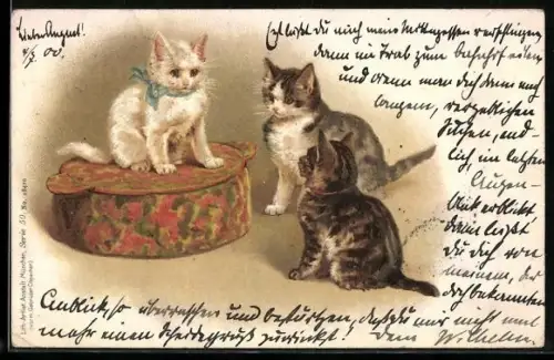 Lithographie Getigerte und weisse Katzen