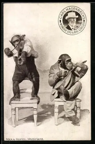 AK Carl Hagenbeck`s Wonder Zoo and Big Zirkus, Musizierende Affen Max und Moritz