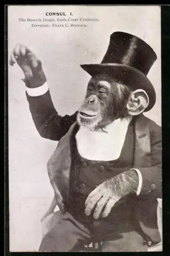 AK Affe mit Anzug und Zylinder, vermenschlichte Tiere, Consul I., The Bostock Jungle, Earls Court Exhibition