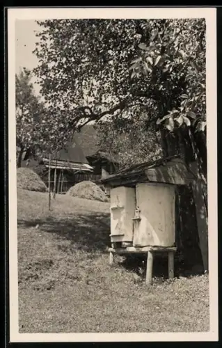 AK Zdechove, Bienenstöcke im Garten, Imkerei