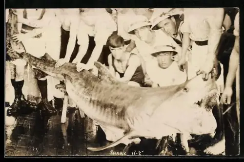 AK Hochseefischer präsentieren einen gefangenen Hai