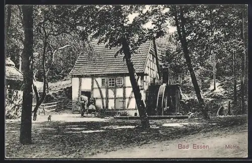 AK Bad Essen, Mühle im Wald