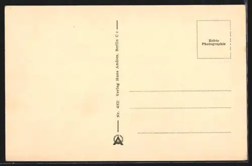 AK Neustadt i. Sa., Markt mit Rathaus