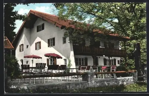 AK Lechbruck /Allgäu, Café-Pension Alpenblick, Inh. Bonifaz Braunegger, Terrasse