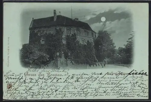 Mondschein-AK Rosslau, Schloss im Park