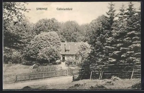 AK Springe, Gasthaus Cöllnischfeld