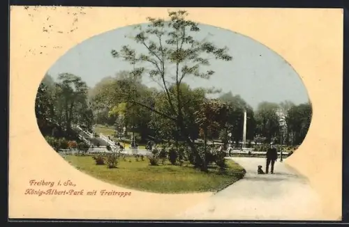 AK Freiberg i. Sa., König-Albert-Park, Freitreppe