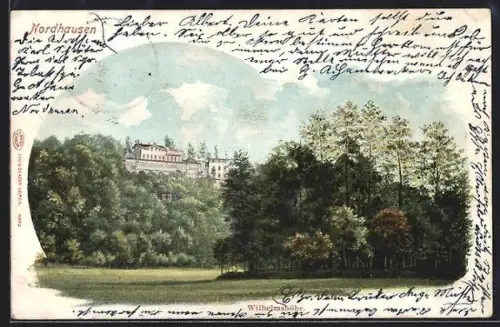 Lithographie Nordhausen, Wilhelmshöhe, Parkansicht