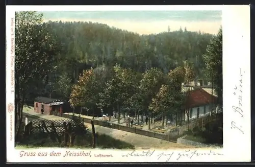 AK Hirschfelde /Sa., Neissthal aus der Vogelschau