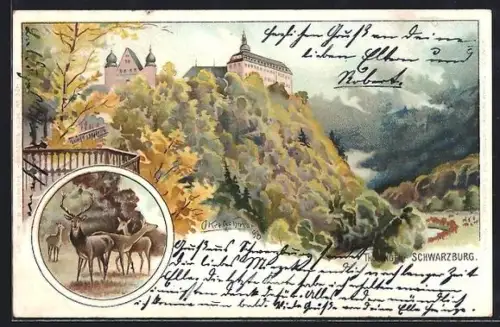 Lithographie Schwarzburg, Schloss, Hirschgruppe