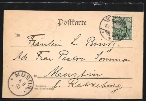 AK Ludwigslust, Schloss Rückseite