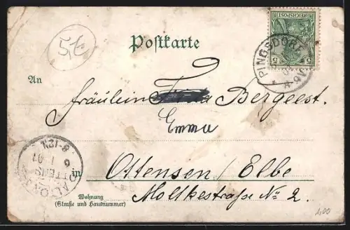 Lithographie Köln a. Rh., Rathaus, Flora