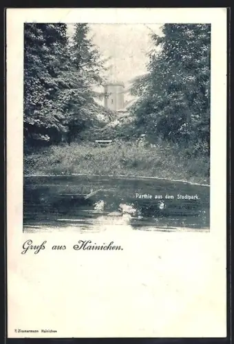 AK Hainichen, Partie aus dem Stadtpark