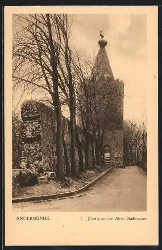 AK Angermünde, Partie an der Alten Stadtmauer