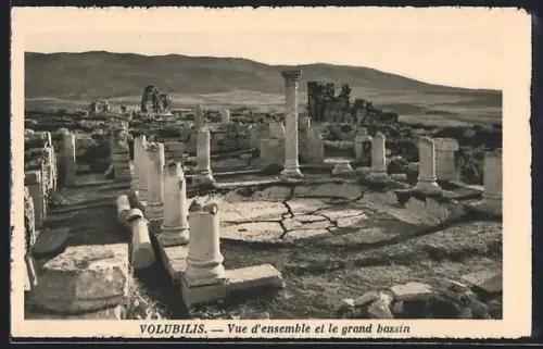 AK Volubilis, Vue d`ensemble et le grand bassin