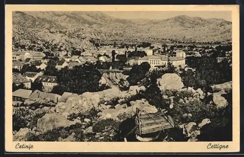 AK Cetinje, Panorama