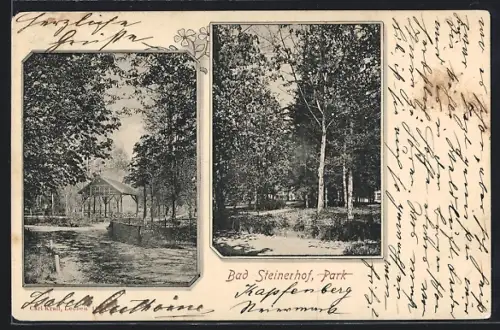 AK Kapfenberg, Bad Steinerhof, Parkansichten mit Pavillon