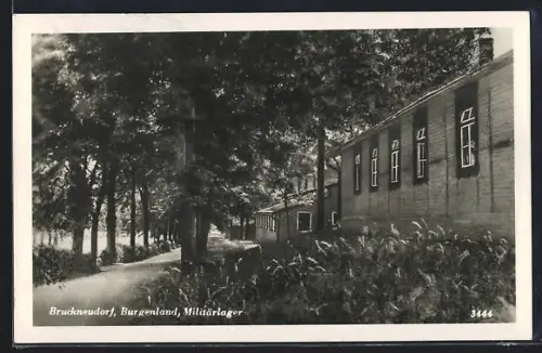 AK Bruckneudorf /Burgenland, Militärlager, Teilansicht mit Allee