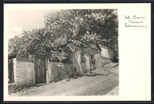 AK Salmannsdorf, Joh. Strauss Häuserl mit Strasse