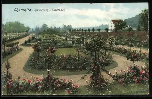 AK Chemnitz, Rosarium im Stadtpark