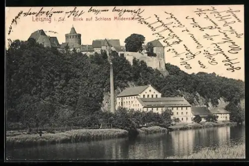 AK Leisnig i. Sa., Blick auf Schloss Mildenstein