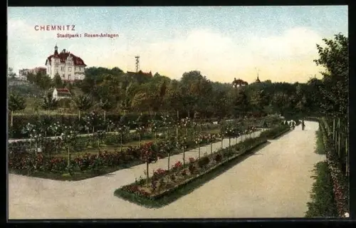 AK Chemnitz, Stadtpark, Rosen-Anlagen