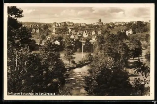AK Birkenfeld im Schwarzwald, Ortsansicht mit Kirche