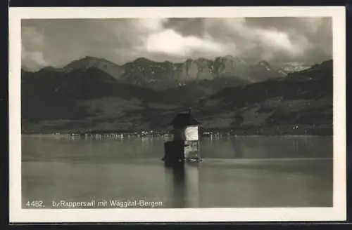 AK Rapperswil, Panorama mit Wäggital-Bergen