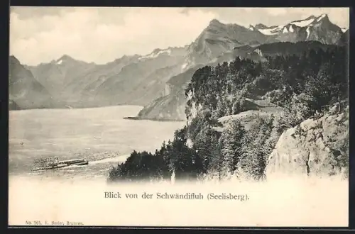 AK Seelisberg, Schwändifluh mit Dampfer