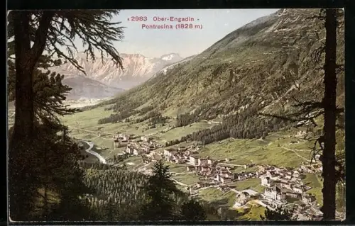 AK Pontresina /Ober-Engadin, Totalansicht mit Gebirgspanorama