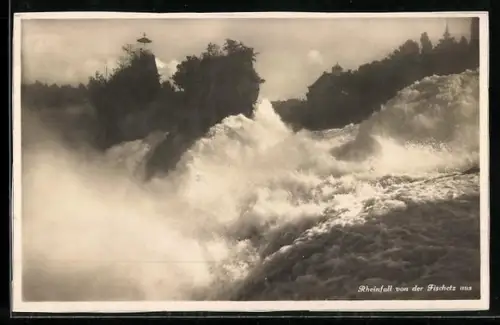 AK Rheinfall, Blick auf den Rheinfall von der Fischetz