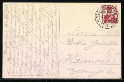 AK Rheinfall, Panorama