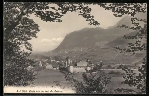 AK Aigle, Vue des bois de plantour