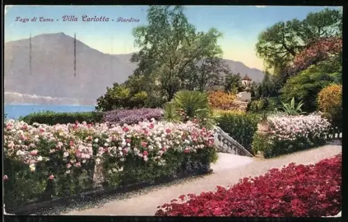 AK Tremezzo /Lago di Como, Villa Carlotta, Giardino