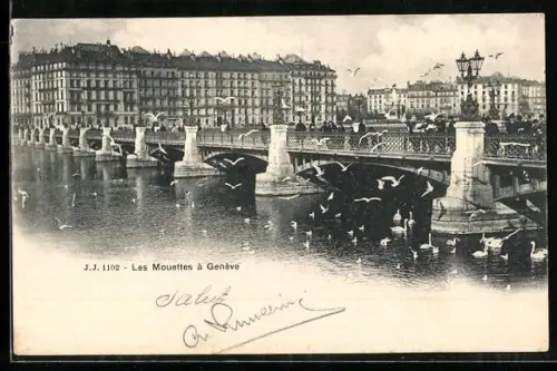 AK Genève, Les Mouettes