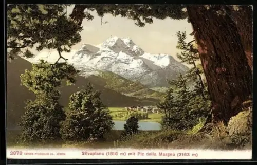 AK Silvaplana, Totalansicht mit Piz della Margna