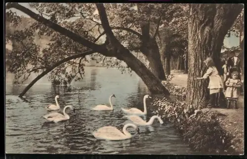 AK Genève, Au bord du Rhône