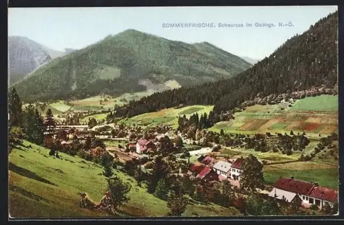 AK Schwarzau im Gebirge, Dorf- und Bergpanorama