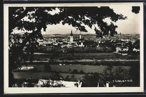 AK Wels /Ob. Öst., Panorama mit Stadtsilhouette und Kirchen