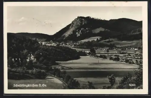 AK Scheiblingkirchen /N. Öe., Panorama mit Dorf und Berg