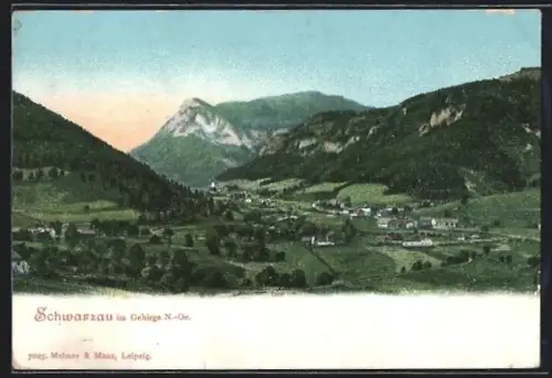 AK Schwarzau im Gebirge, Panorama mit Ort und Bergen