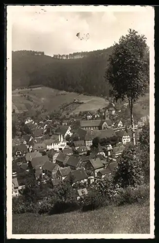 AK Alpirsbach /Schwarzwald, Ortsansicht, Kirche, Kloster