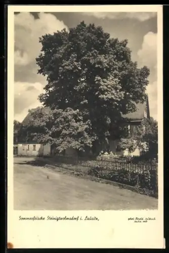 AK Steinigtwolmsdorf /Lausitz, Strassenpartie