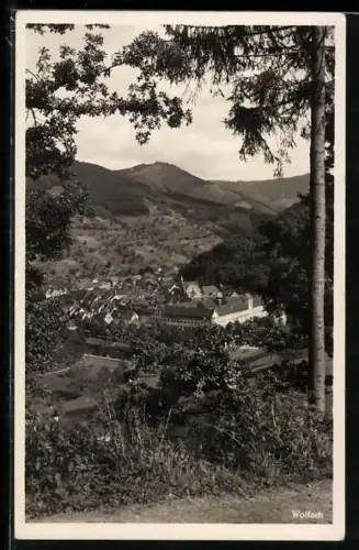 AK Wolfach /Schwarzwald, Ortsansicht, Berge, Wälder